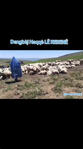 Dengbéj Heqqê LÈ REBENÊ: Kurdish Musical Tradition