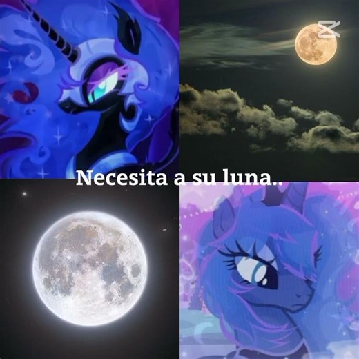 cada sol necesita a su luna #humor #humor #mlp