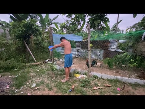 Pano mag Survive sa Crisis kahit papano? Mag Backyard farming na!