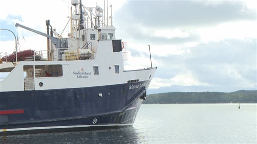 Replacement ferry service in St. Brendan’s not enough. Residents say N.L. government showing ‘disrespect’