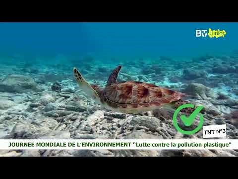 5 Juin Journée Mondiale de l'Environnement