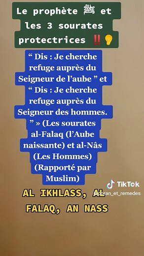 Comptes suggérés