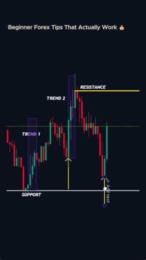 Beginner Forex Tips That Actually Work 💰
