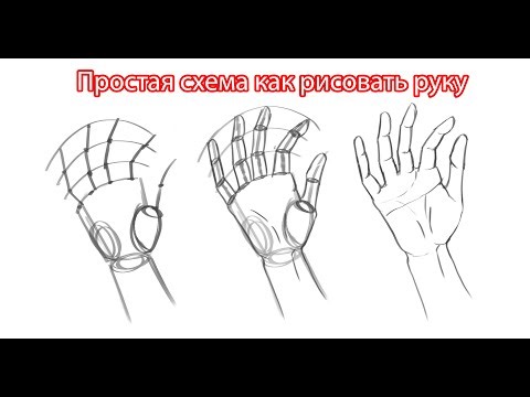Как рисовать руки? Простая схема