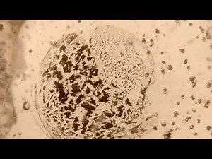 CLEARING NEGATIVE ENERGIES & NEGATIVITY + RAIN SOUNDS | MAGNETO-DIELECTRIC (SCALAR) FIELDS