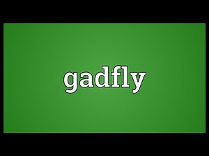 Gadfly Meaning