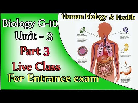 Grade 10 Human biology and health part 3