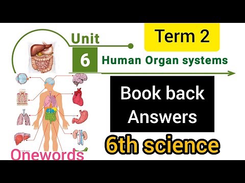 6th std science 2nd term unit 6 book back answers || Human organ systems oneword answers