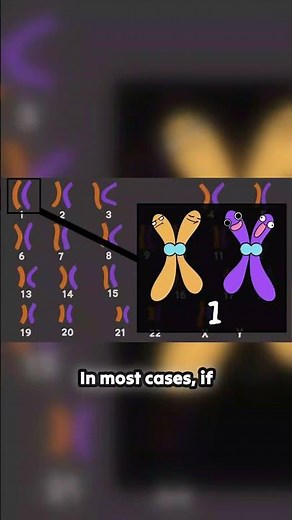 Haploid vs Diploid: Clearing the Confusion