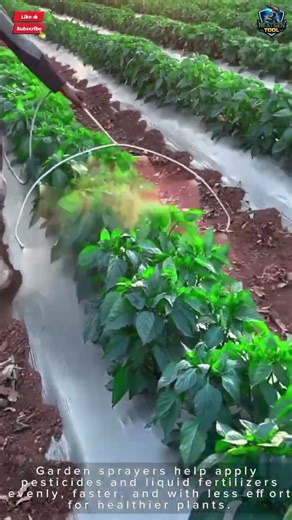 Pesticide Sprayer Tool Manual for Fast Plant Care#tool