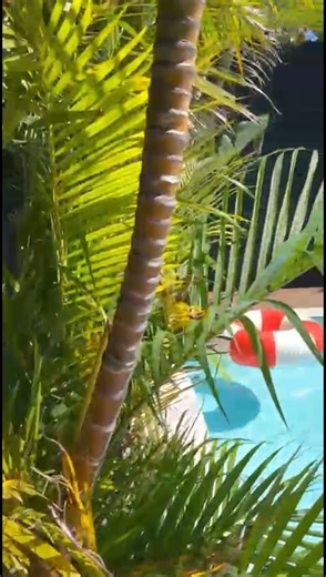 winrani pools on Instagram: "2026 and we’re back on deck. The Winrani team kicked the year off strong. Baulkham Hills Pool Renovation: Tiling completed, glass fencing scheduled for next week, followed by interior scratch coat and Beadcrete installation. Avalon: Site preparation progressing with drainage works behind shotcrete walls and prep underway for steel fixers. Hornsby Heights: Formwork progressing as the structure takes shape. Clovelly: Full tiling package confirmed and starting shortly. 