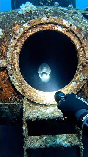 I found a MINI SUBMARINE underwater! Something is inside! ⚓🛥️🐍