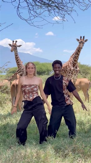 965K views · 10K reactions | Do you believe this is real?勞漣 Ray.moves #africa #safari #couple #dance | Isabell.afro | Facebook
