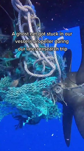 Ghost nets aren't only a hazard to turtles and other sea life - they're bad for boats too.On our Ground Truth research trip, a ghost net got stuck in our vessel's propeller (and not for the first time). Watch the trip's Chief Engineer dive underwater to cut us loose. See full video with interviews on YouTube via link in bio.