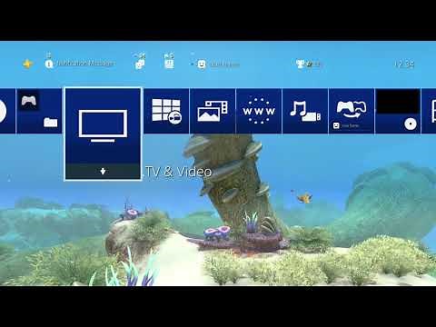 Subnautica Safe Shallows Dynamic Theme | Created for Unknown Worlds by Truant Pixel