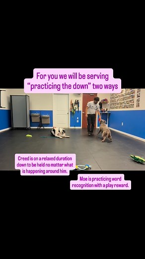 For you we will be serving “practicing the down” two ways. Creed is...