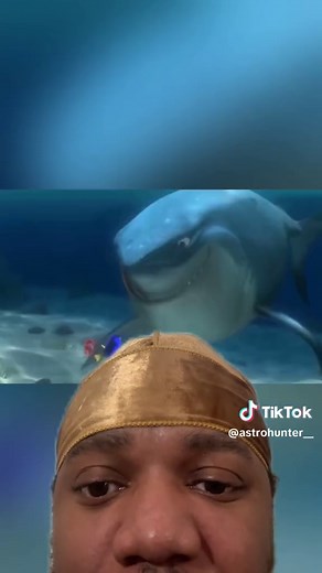 Bruce the Barracuda in Finding Nemo: Terrifying Scenes Revealed