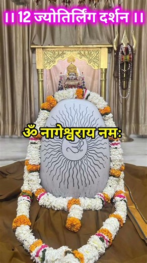 12 ज्योतिर्लिंग के दर्शन एक 1 मिनट में🥺🙏#shorts#jyotirling #12jyotirling#mahadev
