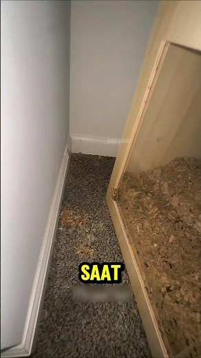 A small footprint in his house ends in a big surprise 😳