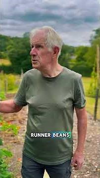 A guide to growing runner beans at Gilbert White’s House and Gardens
