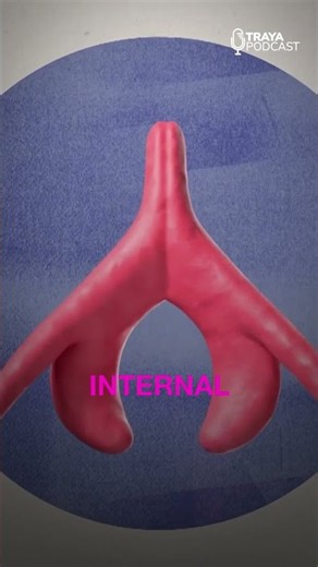 How to Orgasm: Why the Clitoris Matters for Women