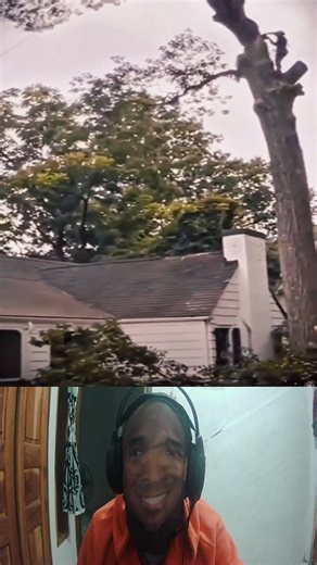 Tree Felling #fypreels #treefelling #trees | Urban Voices | Facebook