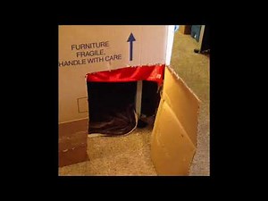 2 story blanket fort