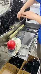 12K views · 156 reactions |  **Ready to take your business to the...