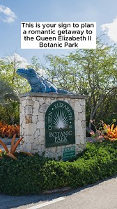 Thinking of what to do on your baecation to the Cayman Islands? How about a date at the Queen Elizabeth II Botanic Park in North Side? Embrace it all when you visit the Cayman Islands. #visitcaymanislands #caymanislands #botanicpark #explore #baecation #couplesgetaway | Europe Visit Cayman Islands