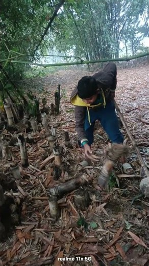 stud earring set 📐 a se baat