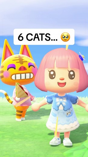 Week 45 of building my cat island 🐱 #acnh #AnimalCrossing #Nintendo #gaming #cats