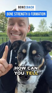 1.1K views · 47 reactions | How to know if you’re building bone in...