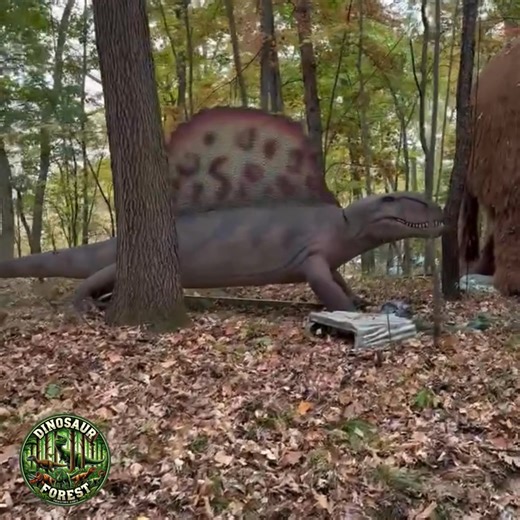 281 reactions · 61 comments | ✨ 헧헛헜헦 헪헞헡헗: 헡헢헩 ퟭ&ퟮ ✨ A World Beyond Time Awaits... 헗헜헡헢헦헔헨헥 헙헢헥험헦헧 練 What if you could walk among roaring dinosaurs, thundering mammoths, and glowing dragons — all in one incredible forest adventure? This fall, your imagination becomes reality!  Oakland County Sportsmen’s Club | Clarkston, MI ️ Only $9.99 per person  Open November 1 & 2  DinosaurForest.com | Dinosaur Forest | Facebook