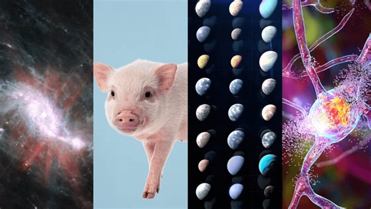 These Were Some Of The Most Significant Scientific Experiments Of 2025