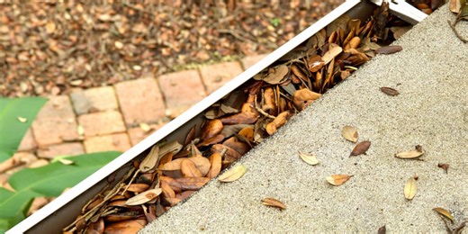 BBB has tips to hire the right professional for fall maintenance work