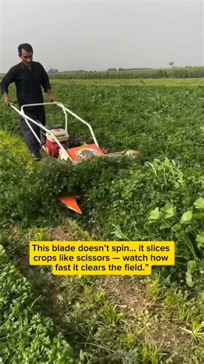 This Farm Machine Erases Crops in Seconds… USA Farmers Are Shocked! #farmtok #oddlysatisfying