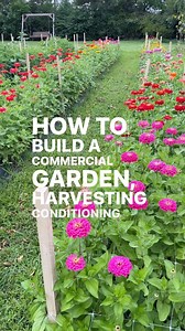 Comment BUNDLE and get a sneak peek inside! For over 2 decades @davemdowling and I have been cut flower growers, teachers, mentors, and general cheerleaders for this industry. Are you not sure where to start? What to grow? who to sell too? How to manage a working garden? And there is a big ol list of struggles you don’t even know about yet— We can help. Our comprehensive courses lay the ground work to guide you to start and grow your business. Here’s a glimpse of what’s waiting for you during th