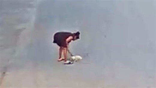 Warning: Woman captured aggressively carrying and throwing puppy faces charges