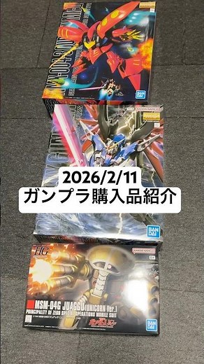 2026/2/11 ガンプラ購入品紹介！ガンダムベースで買ったMGキュベレイMk-Ⅱ（プルツー専用機）にMGデスティニーガンダム、HGジュアッグなど爆買い！ #gundam #お台場 #gunpla