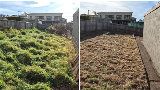 Transforming a wild garden into a beautiful space