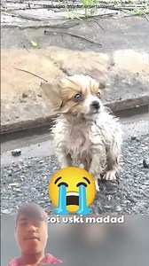 #hello bhai Dekho#...