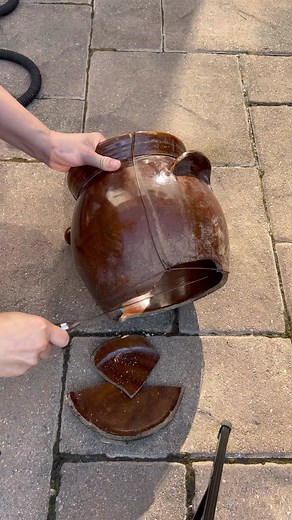 Easy Bean Sprout Farming: A Lazy Yet Traditional Method