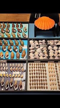 Paris Shell Show (25-26 March) 2023 - ALLSPIRA Stand