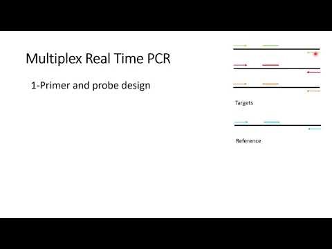 Multiplex qPCR | Principles and Applications