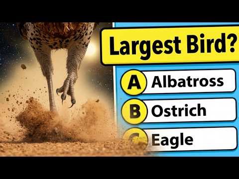 25 Mind-Blowing Facts You Didn't Know! 🧠 | Ultimate General Knowledge Quiz🌍