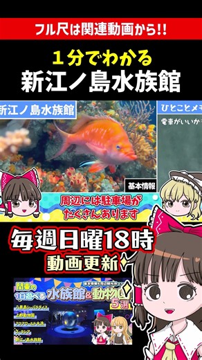 １分でわかる新江ノ島水族館！連休におすすめの水族館