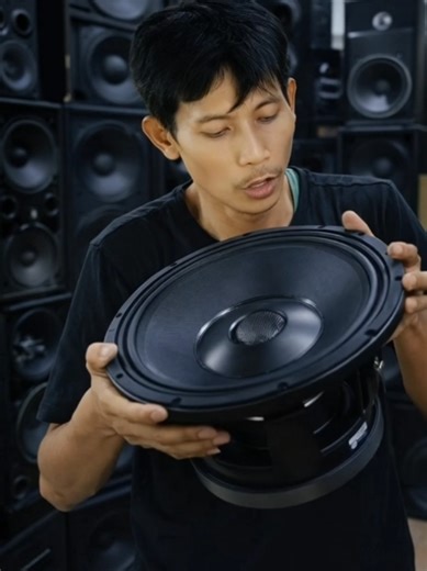 Explore the RCF L10 750Yk Speaker Components