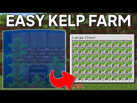 Minecraft Kelp Farm 1.21.11