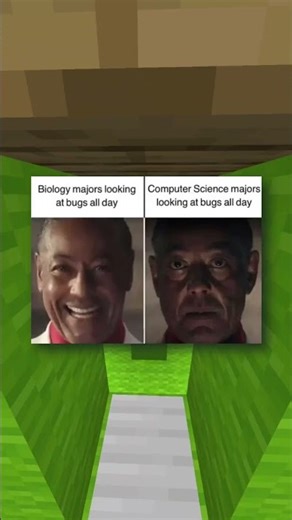 Funny Memes About Bugs 🐛