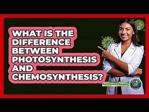 What Is The Difference Between Photosynthesis And Chemosynthesis?